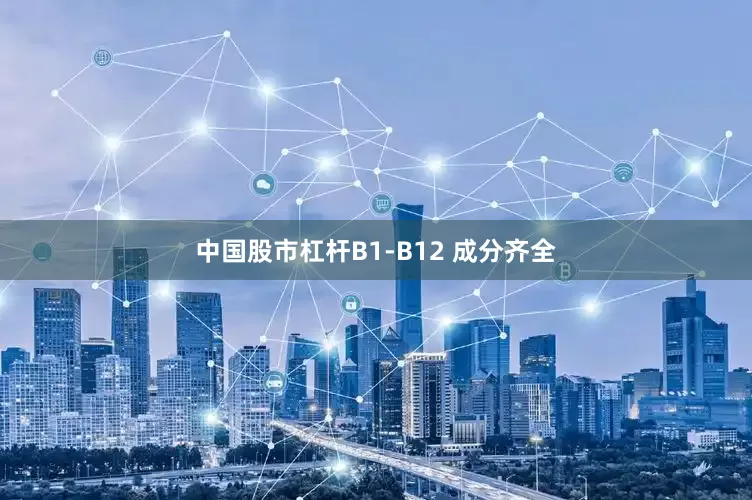 中国股市杠杆B1-B12 成分齐全